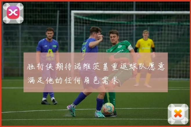 独行侠期待诺维茨基重返球队愿意满足他的任何角色需求