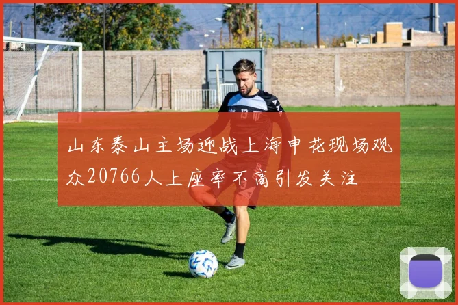 山东泰山主场迎战上海申花现场观众20766人上座率不高引发关注
