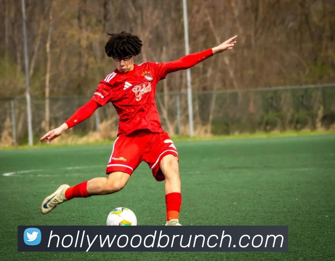 奖项证书